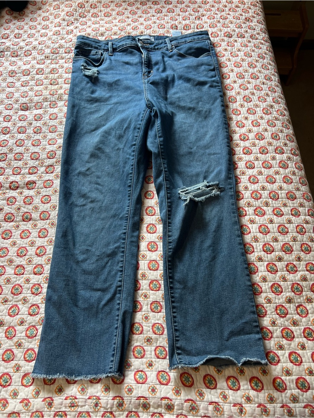 Denizen Levi’s High Rise Ankle Straight Jeans size 14